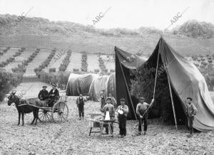 Campesinos de Mora (Toledo) en los trabajos de extinción de la arañuela (plaga...