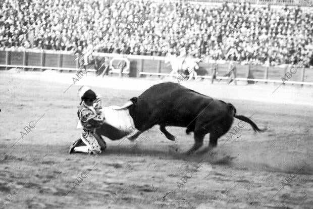 Bombita en su primer toro, en un cambio de rodillas