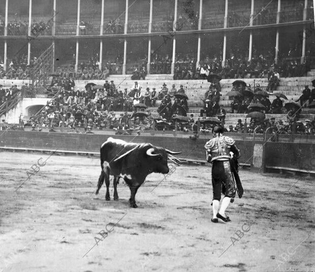 Torquito Igualando para matar en la corrida de la plaza vieja de Barcelona del...