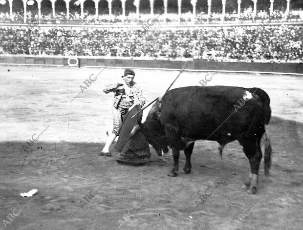 Cocherito Entrando A Matar. Foto barrera