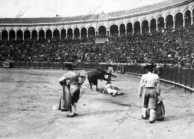 Posada Pisoteado por su primer Toro en la corrida del 6 de Abril, en Sevilla