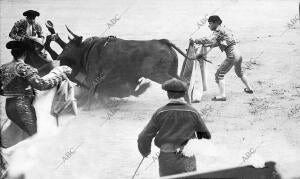 La tercera de abono en Madrid. 1. -Vicente pastor en un quite