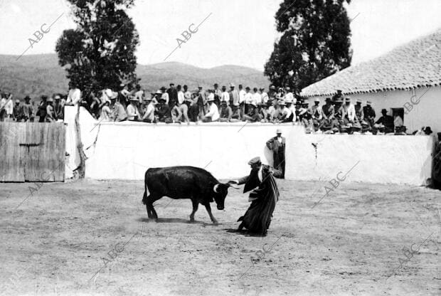 Rafael Guerra (Guerrita), Toreando una vaca
