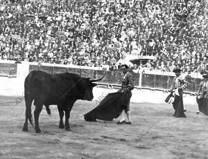 Plaza Nueva. Mojino en el Toro que le Hirió