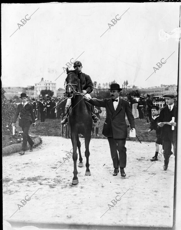 El Caballo "Bernet" del Conde de Torre-Arias, ganador del primer premio en la...