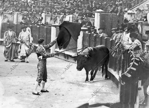 Bombita Levantando la cabeza A un Toro