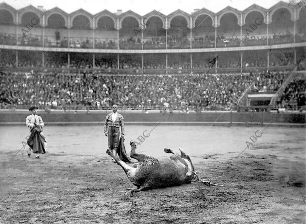 Cochero Viendo rodar A su Toro después de una gran Estocada