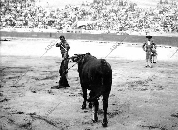 Mestizo Entrando A matar A su segundo