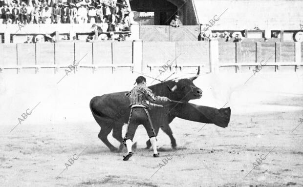 Larita Pasando de muleta A uno de sus Toros