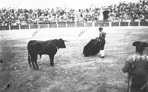 Gaspar Esquerdo Toreando de Muleta