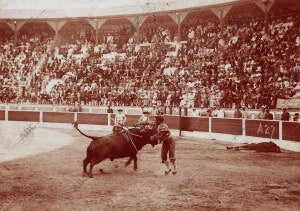 Cocherito al matar al tercero de Urcola