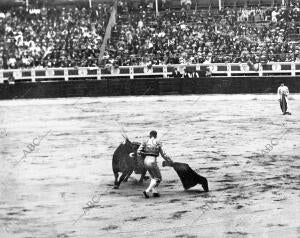 Cocherito Toreando de muleta A su Toro Primero