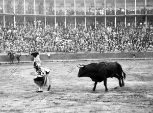 Alfonso cela A la terminación de un quite