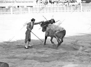 El Distro Saleri Ii Dando un pase de muleta con la izquierda A uno de sus Toros