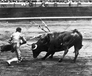 Cocherito Pasando de muleta A su primer Toro