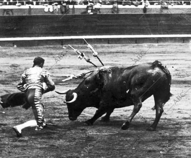 Cocherito Pasando de muleta A su primer Toro