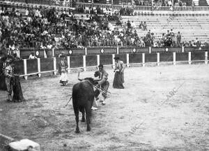 Saleri Ii, Entrando A matar A su primer Toro