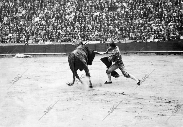 Francisco Martin Vázquez en su Toro primero