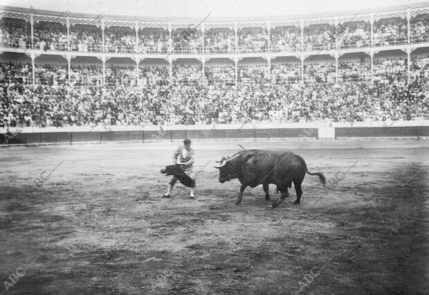 Francisco posada Pasando de muleta A uno de sus Toros, foto Diego González