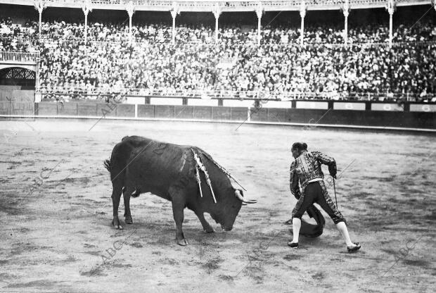 Rafael Gómez (el Gallo), Preparando un pase de muleta