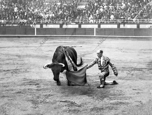 Rafael Gómez (El Gallo) dando pase de rodillas
