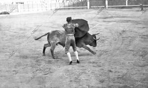 El diestro Alonso Cela (Celita), Dando un pase ayudado A su primer Toro