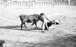 Ricardo Torres en una Verónica por Bajo, A uno de los Toros que ha Lidiado