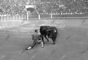 El diestro Rafael Gómez (Gallo) Dando un pase de muleta A uno de los Toros que...