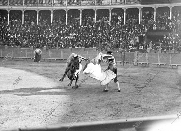 Corrida de toros de Veragua. Joselito «el Gallo» al dar una verónica