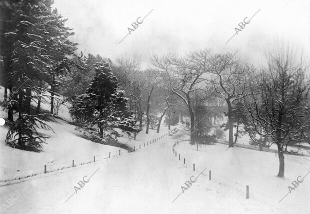 Aspecto parcial del parque de Vincennes después de una Nevada