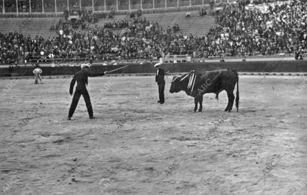 Novillada A beneficio del picador Medina Dirigida por los Gallos y Limeño