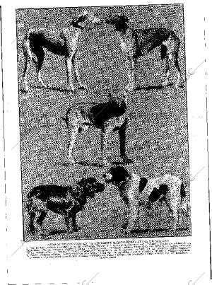 BLANCO Y NEGRO MADRID 31-05-1914 página 25