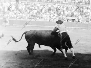 Tello Poniendo un par de Banderillas Cortas en la plaza de Sevilla