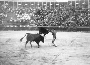 Varnia en un pase ayudado en la plaza de Valencia