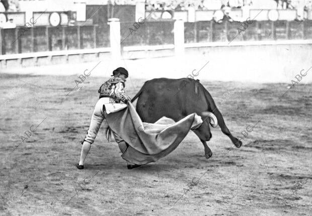 Gaona Preparando su primer Toro para la suerte de Varas