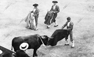 Belmonte Ii Pasando de muleta al Toro que le Cogió en Murcia