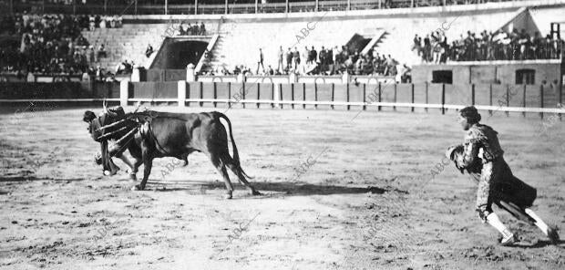 Cogida de Madriles en Valladolid