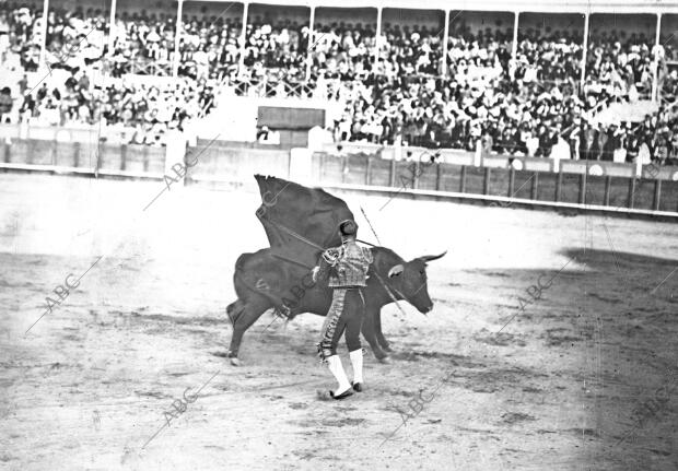 Ostioncito Pasando de muleta en la plaza de Carabanchel