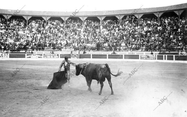 Belmonte Adornándose en una faena de muleta en la plaza de la Línea