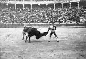 Rafael el gallo en la plaza de las Arenas de Barcelona, Pasando de muleta A su...