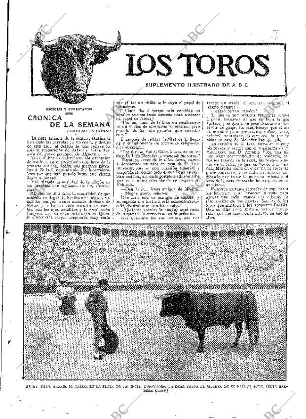 ABC MADRID 29-07-1914 página 25