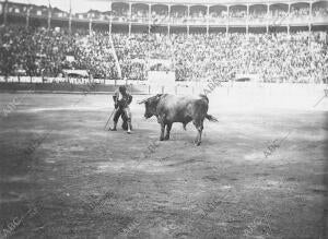 Belmonte Toreando de muleta al Toro que le Cogió