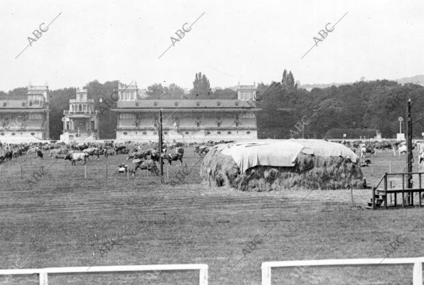 El hipódromo de Lonchamps Convertido en parque de aprovisionamiento de Paris