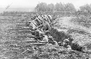 Soldados de infantería Alemana Haciendo fuego desde una trinchera