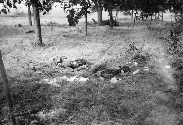 Cadáveres de Soldados Alemanes Encontrados en uno de los Puntos de la Extensa...