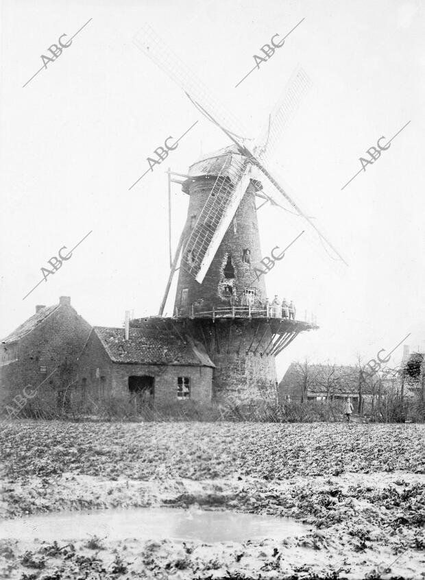 Molino de viento de las Cercanías de Dixmude que ha sufrido los Efectos del...