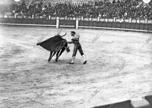 El diestro Diego Mezquiaran (A) Fortuna Dando un pase A su primer Toro (foto...