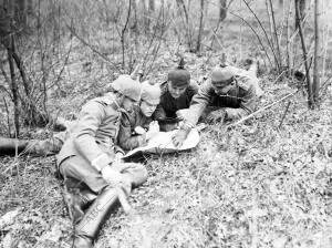 Grupo de Oficiales Alemanes Estudiando un mapa de la región de Flandes (foto...