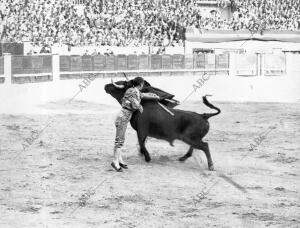 Vicente pastor en un pase neutral A uno de sus Toros en la corrida de la...