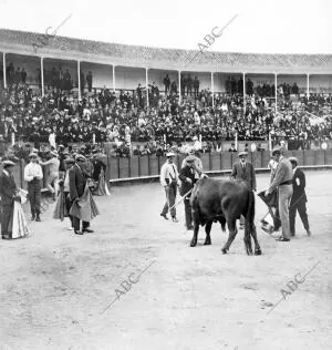 El primer espada D. Ignacio Valenzuela, después de dar una estocada al primero...